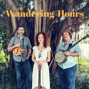 Wandering Hours