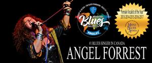 Angel Forrest Band