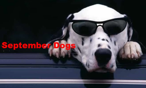 September Dogs